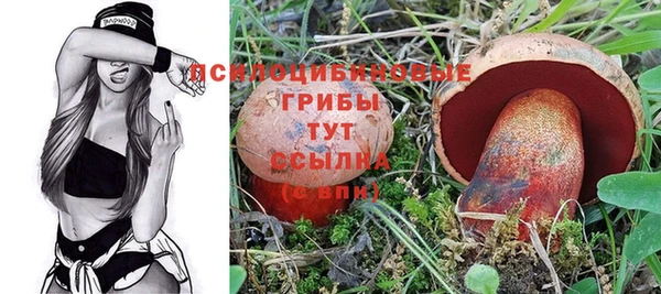 дмт Арсеньев