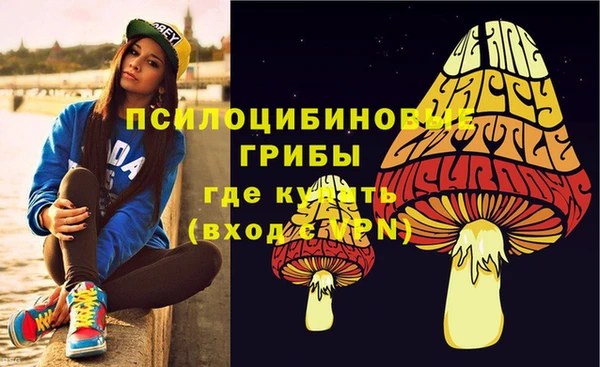 дмт Арсеньев
