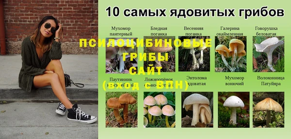 ALPHA-PVP Армянск