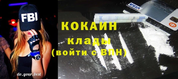 дмт Арсеньев