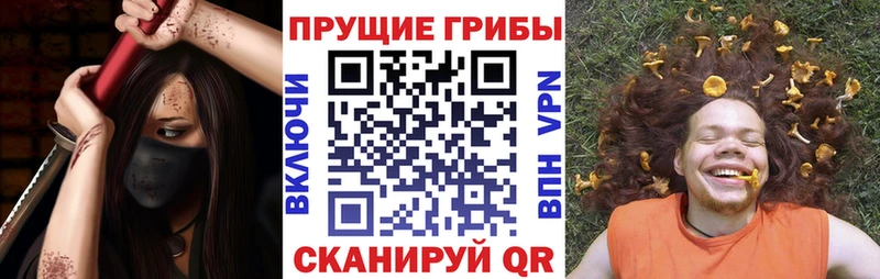 цена наркотик  Ахтубинск  Псилоцибиновые грибы ЛСД 